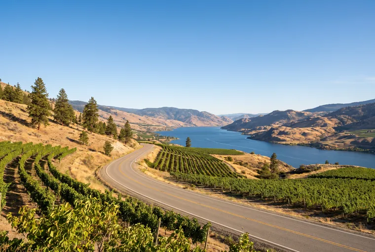 Illustration: a road curving down through green vineyard rows above a long blue lake, with dry hills and pines.